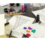 Encre traditionnelle à stylo en flacon D 30ml