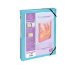 Boite de classement kreacover polypropylene transparent a4  250x330mm dos 40mm            assortiment pastel