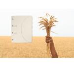 Chemise tarifold secolor treefree smartfolder 3 rabats sachet de 6