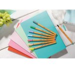 Stylo feutre stabilo pastellove point fine 0,4mm   pochette de 15 coloris        assortis