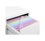 Dossier suspendu viquel rainbow pastel polypropylene  coloris assortis lot 8 unites
