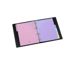 Intercalaires viquel rainbow pastel pp a4 maxi 6 positions 11 trous coloris assortis