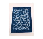 Feuille cyanotype enjoy art pre-impregnees a4 pack 30     unites