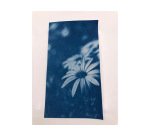 Feuille cyanotype enjoy art pre-impregnees a4 pack 30     unites