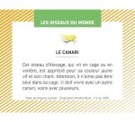 Bon point editions lito les oiseaux du monde 61x82mm      boite 100 unites