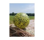 Ballon de handball plastico rototech recycle pvc semi     souple diametre 145mm 150g