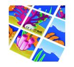 Puzzles souples avec cadre rolf les animaux marins 6     puzzles de 9 pieces