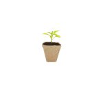 Jardinage et biodiversite loolipo pots fibres           biodegradables lot de 20