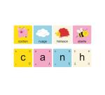 Apprendre a lire et a ecrire cocktail games lirodingo sons associes aux lettres 54       cartes 4 niveaux