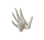 Alginate de moulage 500gr graine creative empreintes    corporelles et alimentaires
