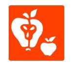 Pochoirs graine creative a dessiner fruits plastiques    lavables 6 unites assortis