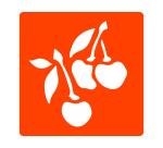 Pochoirs graine creative a dessiner fruits plastiques    lavables 6 unites assortis
