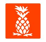 Pochoirs graine creative a dessiner fruits plastiques    lavables 6 unites assortis