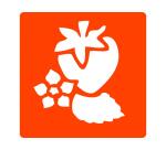 Pochoirs graine creative a dessiner fruits plastiques    lavables 6 unites assortis
