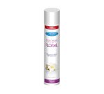 Désodorisant coldis usage professionnel parfum floral aérosol 750ml