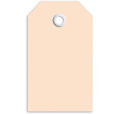 Label 60 x 120 mm voor pakket bruin