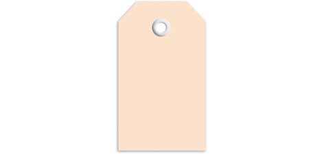 Hängeetikett, 60 x 120 mm, für Pakete, braun