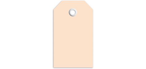 Etiquette à suspendre, 60 x 113 mm, pour colis, marron