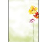Papier à motif, A4, 90 g/m2, motif 'Flowerstyle'