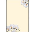 Papier à motif, A4, 90 g/m2, motif 'Flowerstyle'