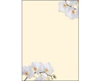 Papier à motif, A4, 90 g/m2, motif 'White Orchid'