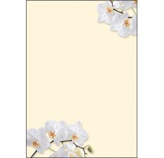 Papier à motif, A4, 90 g/m2, motif 'White Orchid'