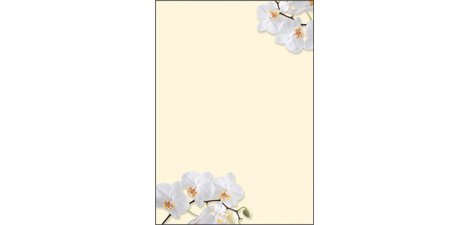 Papier à motif, A4, 90 g/m2, motif 'White Orchid'