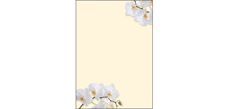 Papier à motif, A4, 90 g/m2, motif 'White Orchid'
