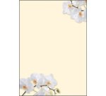 Papier à motif, A4, 90 g/m2, motif 'Sunflower'