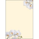 Papier à motif, A4, 90 g/m2, motif 'Sunflower'