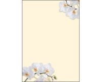 Papier à motif, A4, 90 g/m2, motif 'Sunflower'