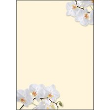 Papier à motif, A4, 90 g/m2, motif 'Sunflower'