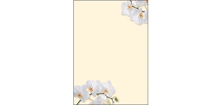 Papier à motif, A4, 90 g/m2, motif 'Sunflower'