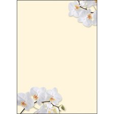 Papier met motief A4 90 g/m² motief 'Flowerstyle'