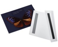 Pochette magnétique magnetofix, A4 paysage