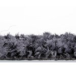 Tapis anti-salissure EAZYCARE COLOR 1200x1800 mm