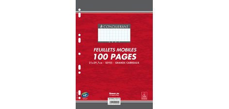 Losse vellen CONQUERANT SEPT 210 x 297 mm séyès