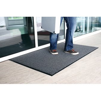 Tapis anti-salissure EAZYCARE COLOR, 400x600 mm