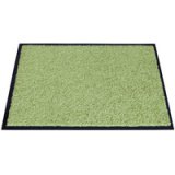 Tapis anti-salissure EAZYCARE COLOR, 400 x 600 mm,