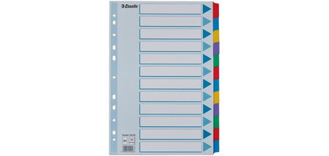 Kartonnen tabbladen, effen, A4, 12 tabs, veelkleurig
