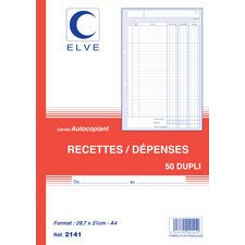 Manifold 'Recettes / Dépenses', A4, dupli, 50 feuillets