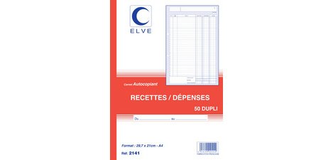 Manifold 'Recettes / Dépenses', A4, dupli, 50 feuillets
