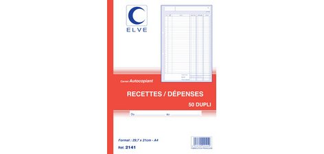Manifold 'Recettes / Dépenses', A4, dupli, 50 feuillets