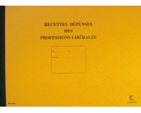 Register 'Inkomsten/Uitgaven' vrije beroepen