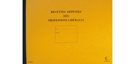 Piqûre journal recettes et dépenses des professions libérales - Elve 97381 - 80 pages - Format 27 x 37 cm à l'italienne