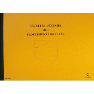 Piqûre 'Recettes/Dépenses' Professions libérales