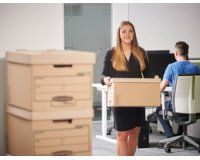 BANKERS BOX EARTH Grande boîte d'archives et de