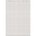 bloc paperboard, 20 feuilles, quadrillé, 680 x 990