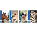 Bloc à dessin, format A4, 100 g/m2, 40 pages, perforé