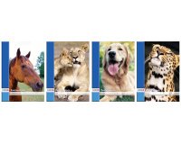 Tekenblok A4-formaat 100 g/m² 40 vellen geperforeerd